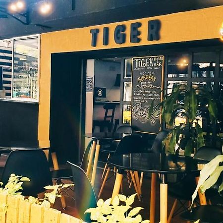 Tiger Hostel 麦德林 外观 照片
