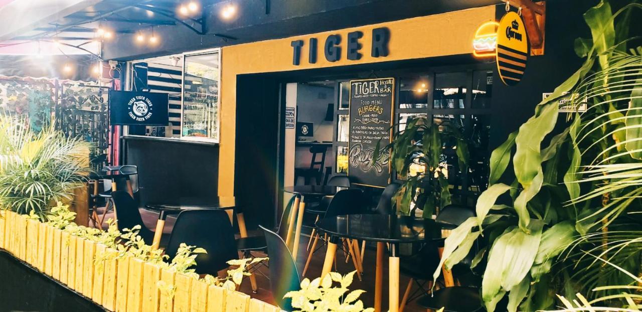 Tiger Hostel 麦德林 外观 照片