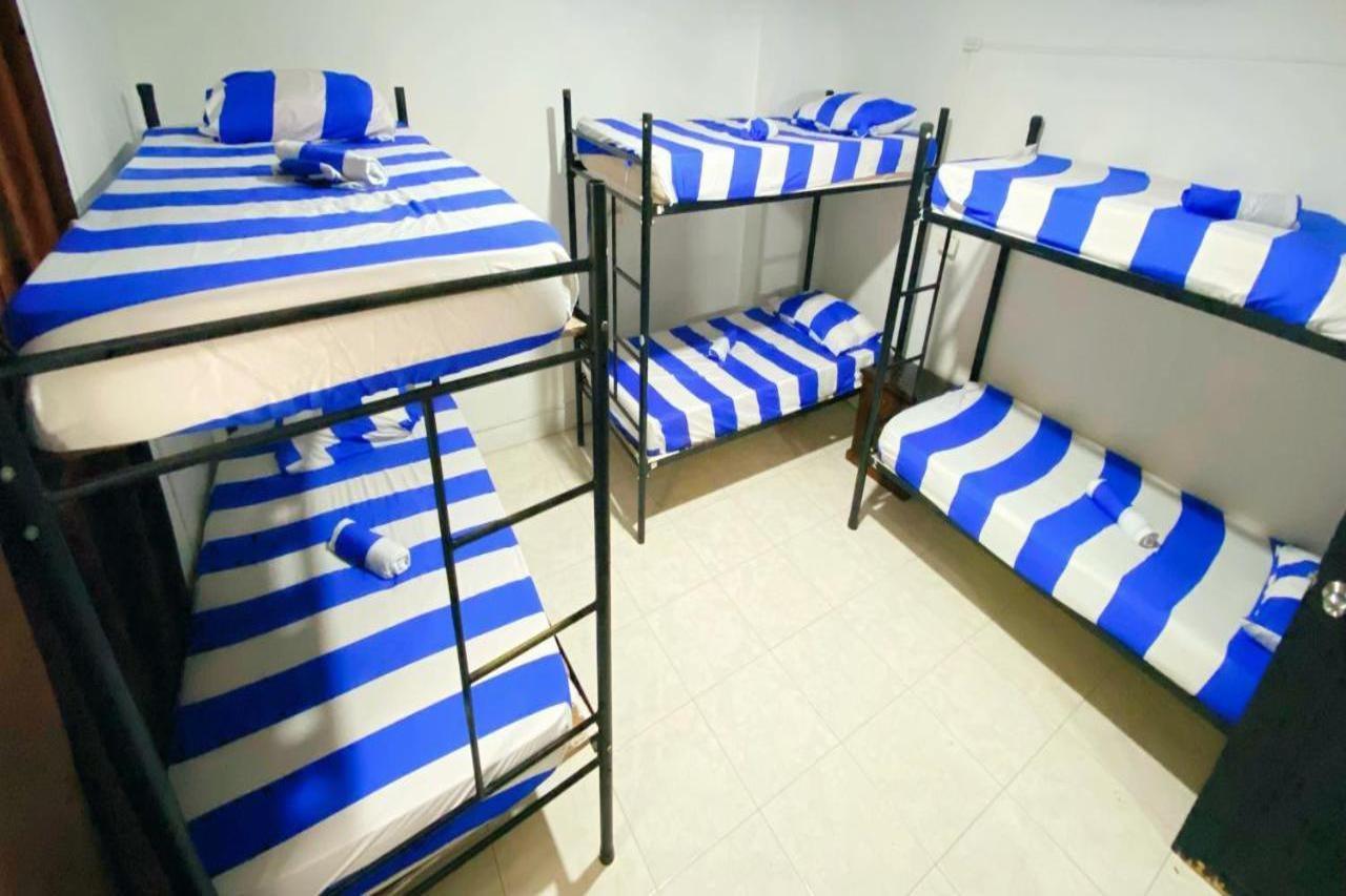 Tiger Hostel 麦德林 外观 照片